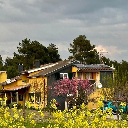 Апартаменты Casa Da Oliveira Pegarinhos Экстерьер фото